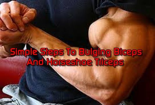 Simple Steps To Bulging Biceps And Horseshoe Triceps