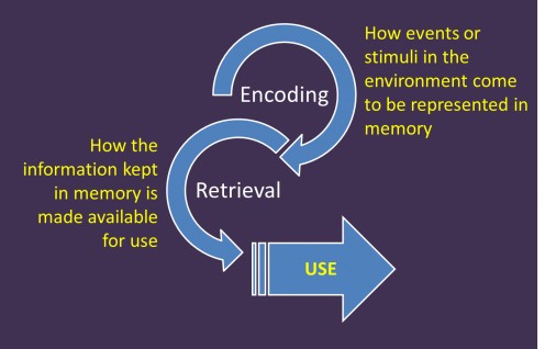 A crucial to maintaining your memory keen is to maintain your social p…
