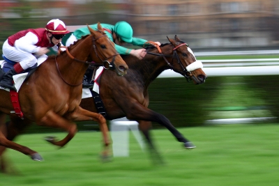 The Factors that Affect Horse Racing Betting Odds