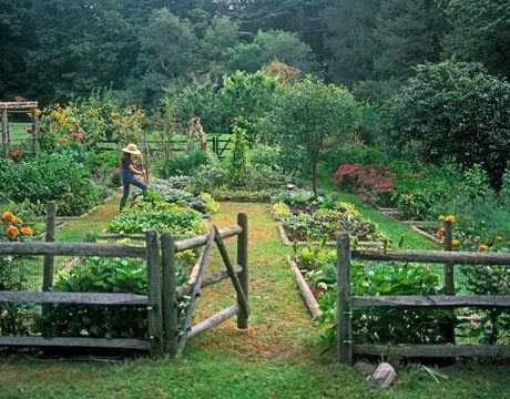 Natural Gardening Tips And Tricks Just For You