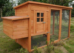 Hen Cage Overview- Learn How To Construct Inexpensive Hen Coops