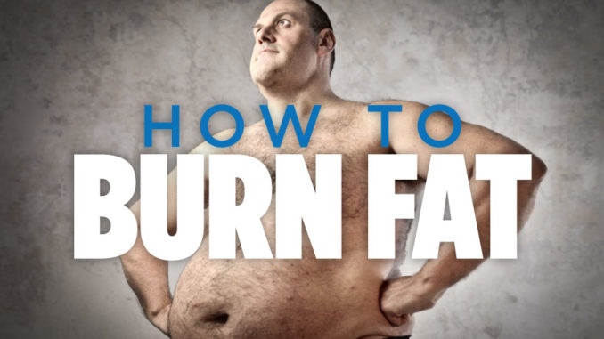 burn-fat