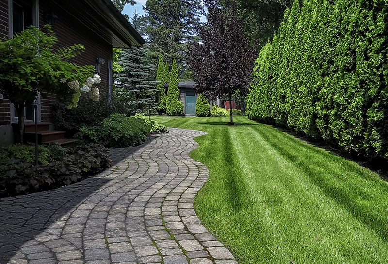 Benefit from the Expertise of a Landscaping Contractor