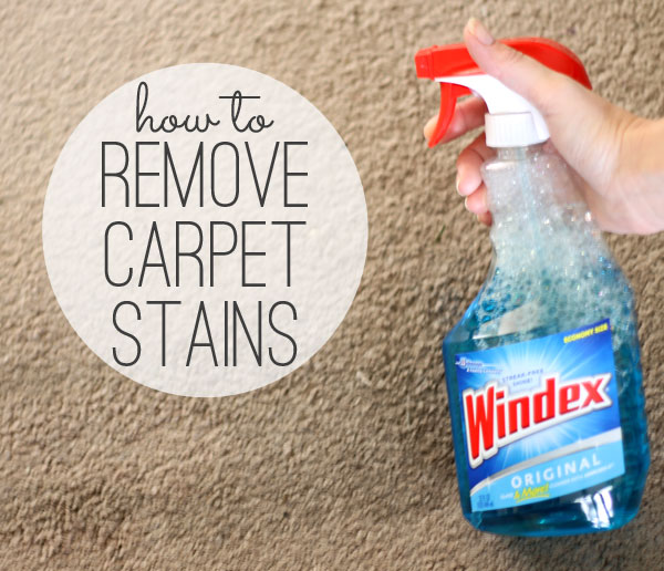 12 Tips To Remove Stains With Carpet Cleaners