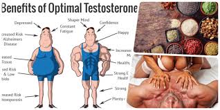 Keeping correct quantities of testosterone in the body is very importa…