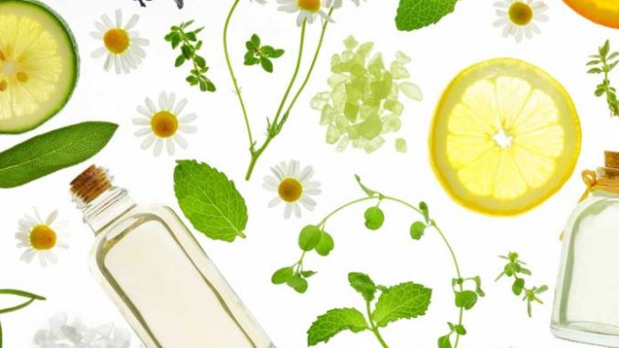 Understanding-Organic-Skin-Care-Ingredients-696x436