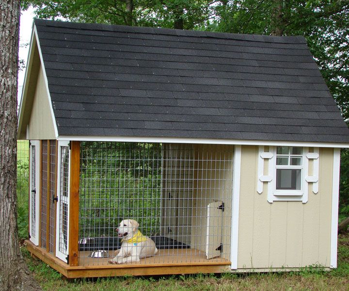 Housing your Canine Friend: Chose the Perfect Dog House