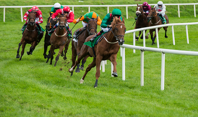 Horse Racing Tips And Your Horse Sense