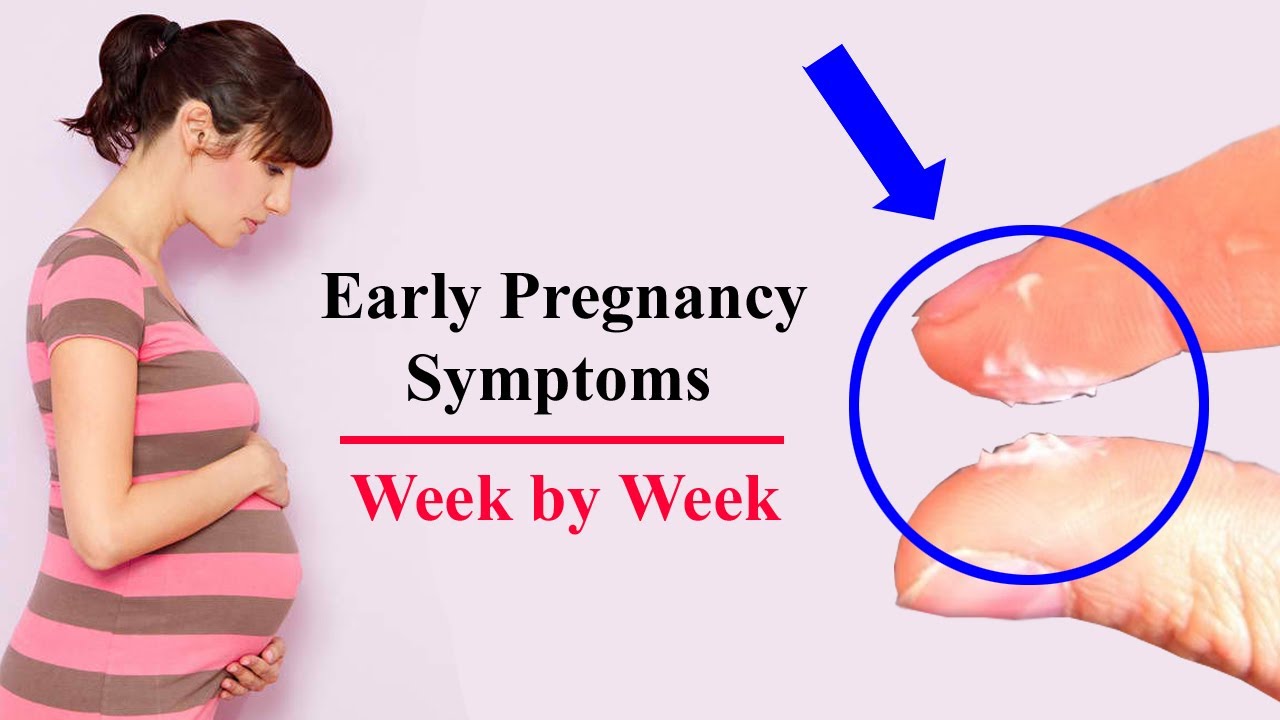 Pregnancy Symptoms, Signs and Symptoms of Being Pregnant