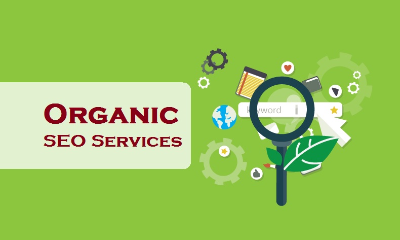 Understanding Organic SEO