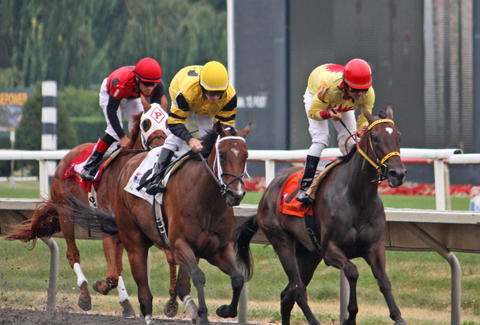 Horse Racing Tips To Get You Rich – Quick!