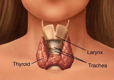 Thyroid Dysfunction, its Symtoms & Treatment