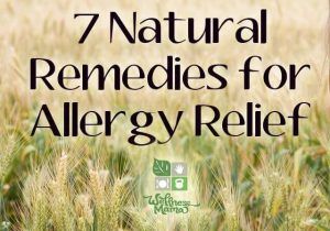 Natural Remedies And Treatments For Allergies
