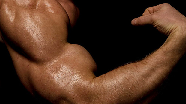 Muscle Building Busting out the Myths