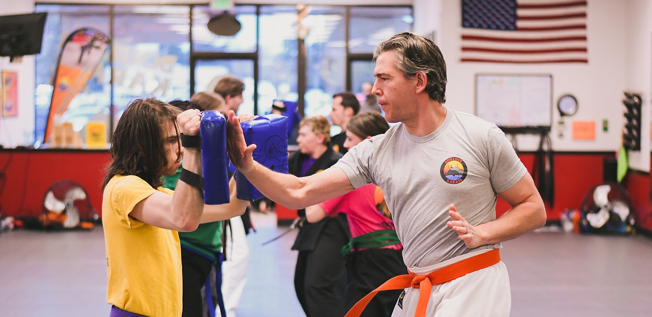 Self-Defense – Why Most Adults Drop Out of Martial Arts Classes