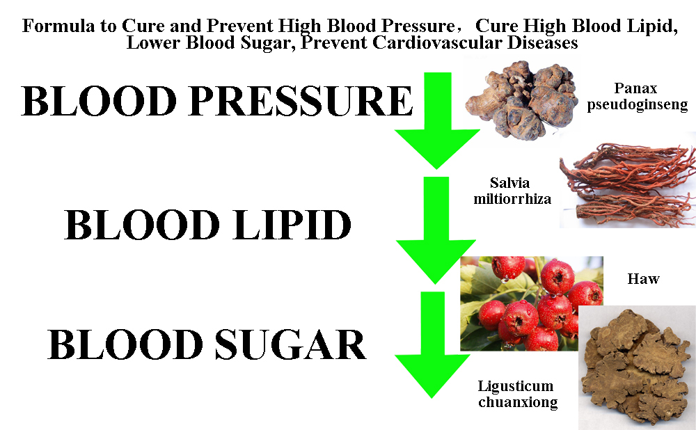Preventing High Blood Pressure