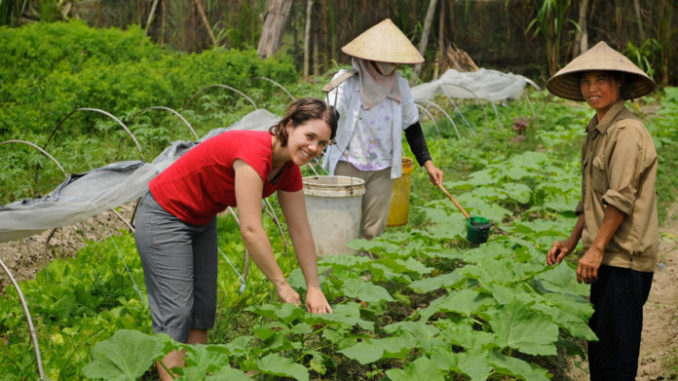 Global-Organic-Farming-696x392