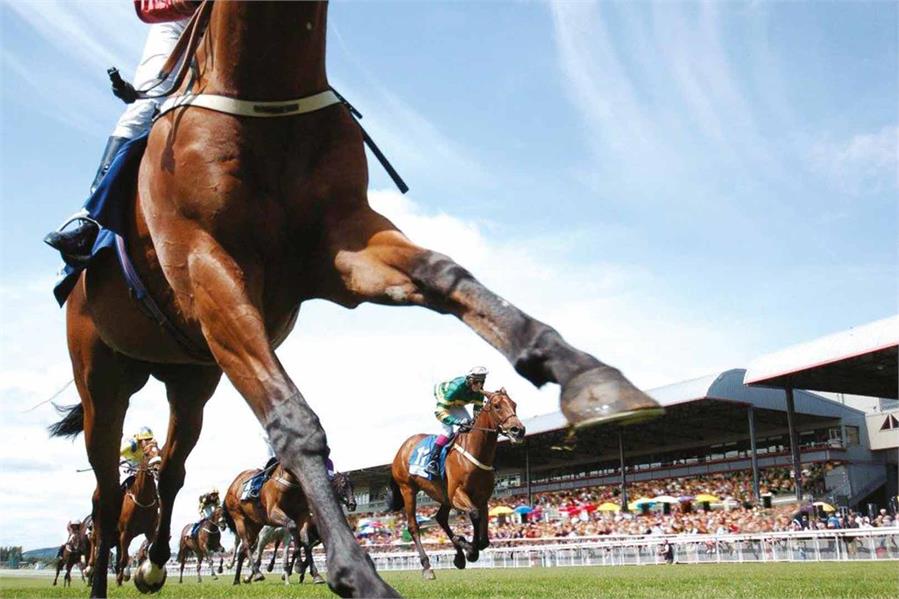 Horse Racing – The Sport of Kings