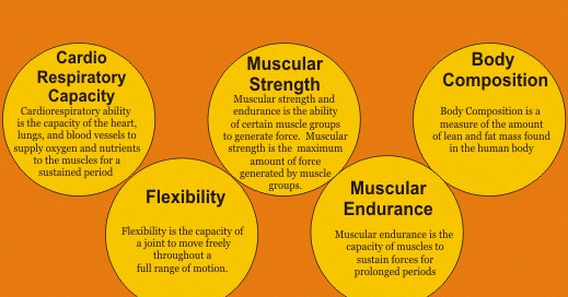 5 Components of Physical Fitness