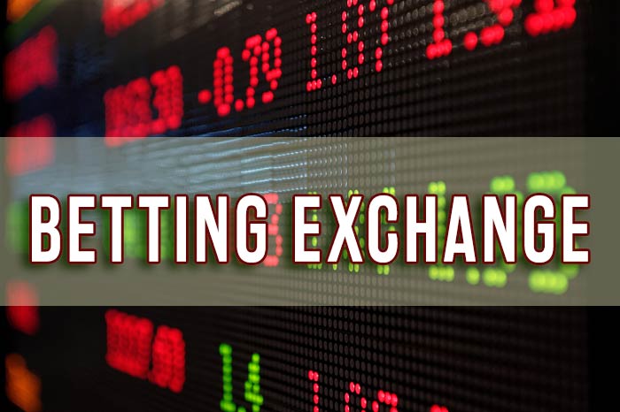 An Overview of the Fundamentals of Betting Exchanges