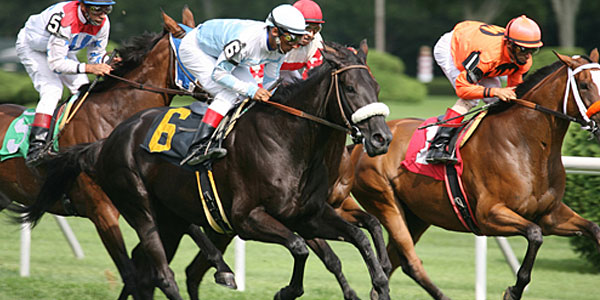 Are You Ready for Some Horse Racing Action?
