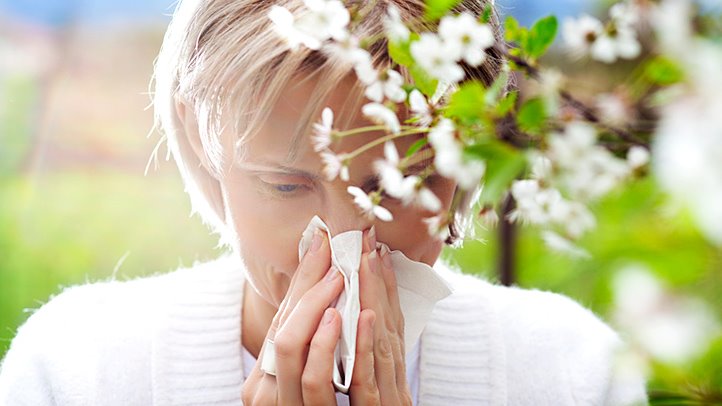Allergy Relief: Your Relief Options Reviewed