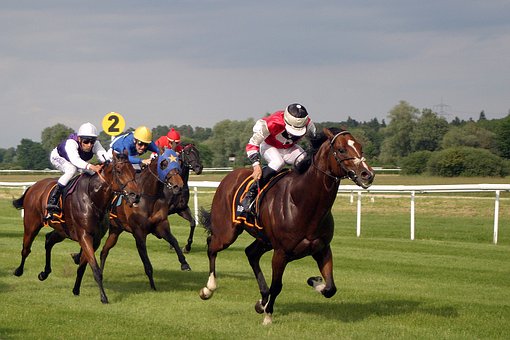 Horse Racing Tips: Lay Favourites And Profit Every Day!