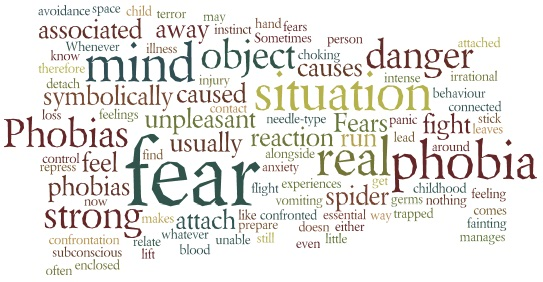 Fears And Phobias A Brief Overview