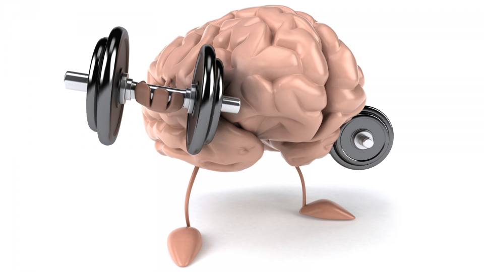 Brain Function and Exercise