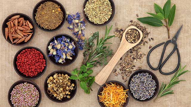 Tips for Choosing the Best Natural Remedy