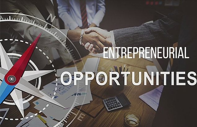 The Best Business Opportunities For Entrepreneurs