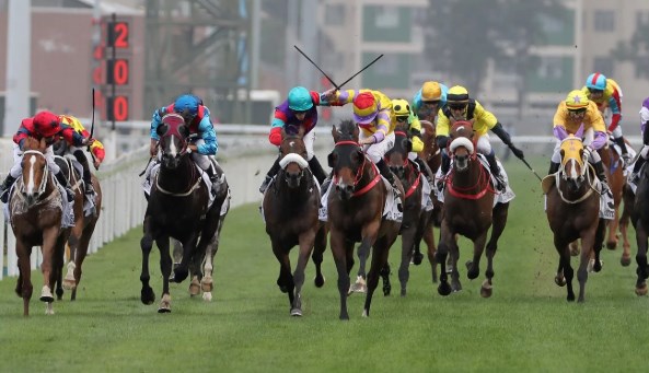 Betting on Horse Racing: From Traditional to Technological