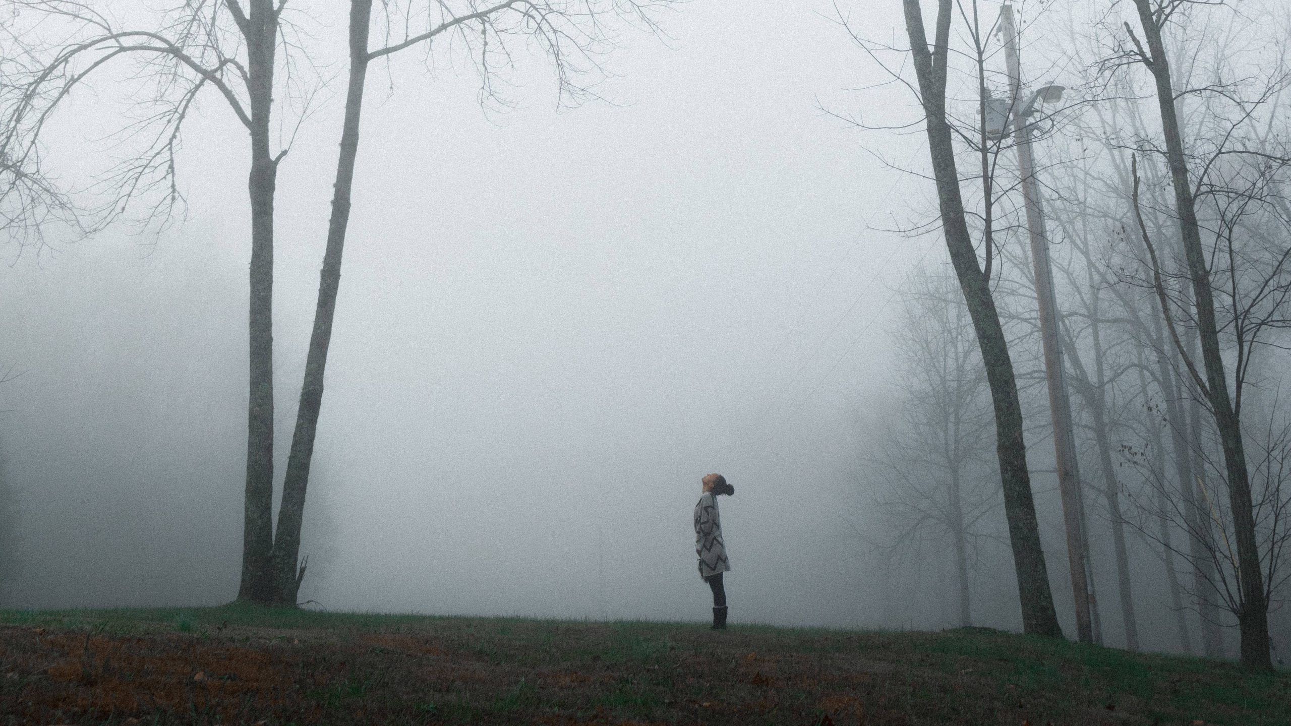 Seeing beyond the fog